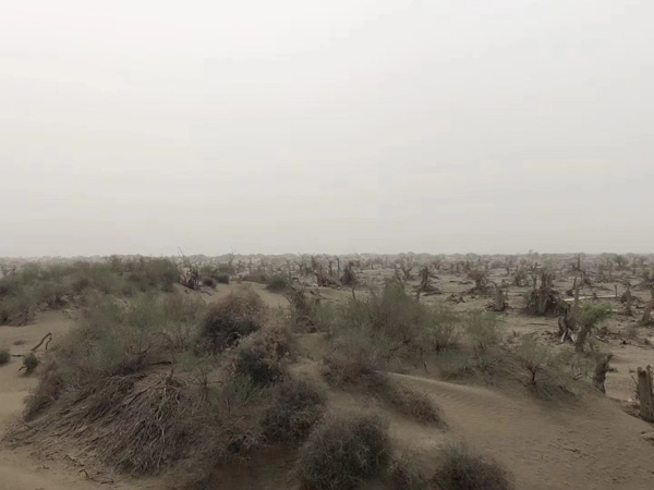 虐待罪案例解析：深圳法律咨詢網(wǎng)教您如何判斷行為是否構(gòu)成虐待罪？