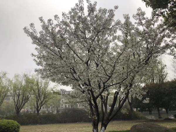 離婚后多久可以再婚？深圳知名婚姻律師為您解答