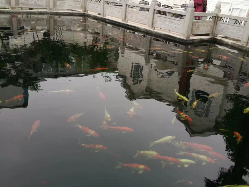 民間借貸中如何防范法律風險？深圳債務律師為您解答