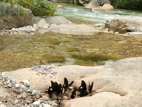 律師遺言見證如何撤銷？深圳遺囑繼承律師釋疑