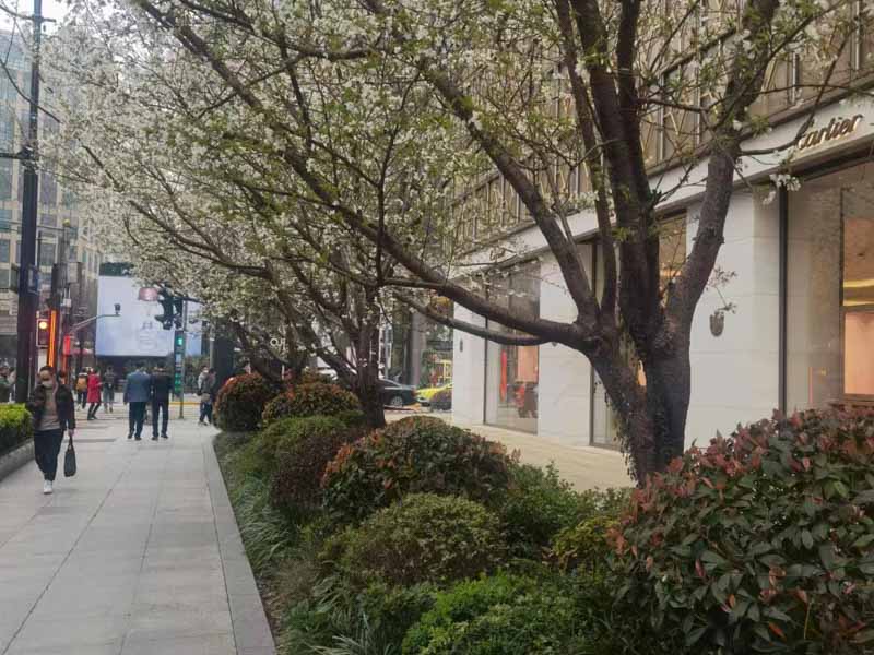 深圳債務(wù)律師為您解答債務(wù)人沒(méi)有財(cái)產(chǎn)是否需要繼續(xù)起訴