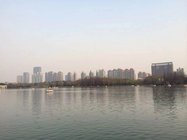 面對(duì)非法集資政府需要發(fā)揮哪些作用？深圳非法集資律師來(lái)講講