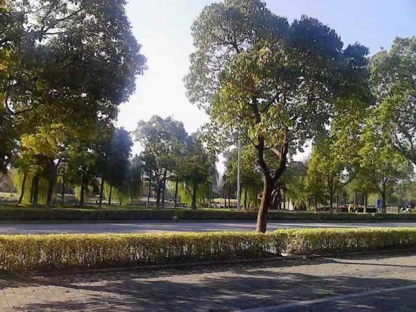 深圳知名婚姻律師在線解答關(guān)于婚姻的實質(zhì)要件和形式要件是什么？