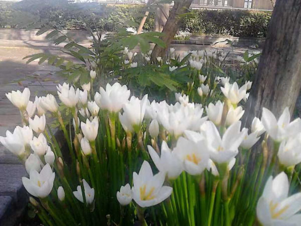 深圳債務(wù)律師來(lái)教您如何判斷借貸事實(shí)是否在當(dāng)事人之間發(fā)生