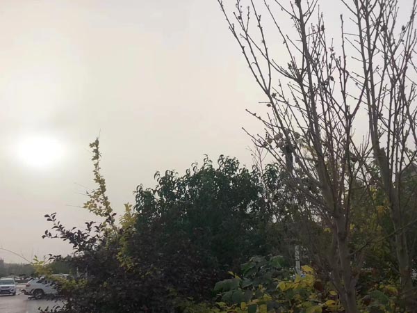 深圳刑事律師咨詢網(wǎng)來講講貪污賄賂罪的刑事責(zé)任與刑罰