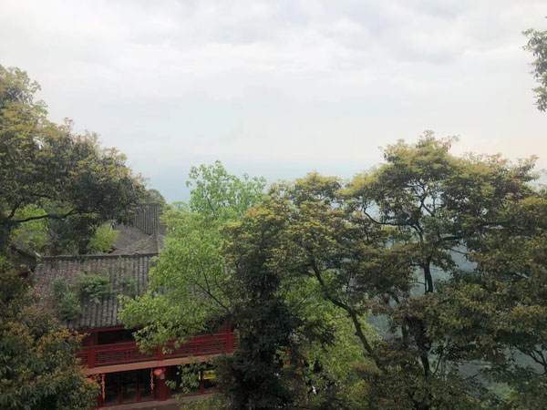 借款合同問題怎么解決？深圳借款合同糾紛律師告訴你