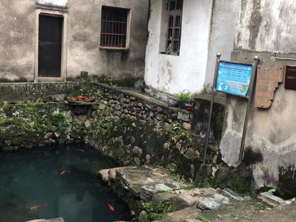 債務(wù)人拖延執(zhí)行需要承擔(dān)哪些責(zé)任？深圳債務(wù)律師為您解答