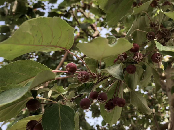 深圳市大律師來講講鑒定機構按照定額和市場價作出鑒定結論確定工程價款