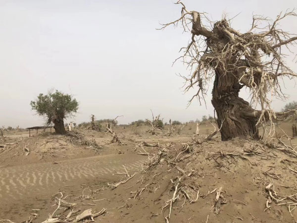 法律課堂:深圳著名辯護(hù)律師為您介紹有糾紛的房子拆遷會面臨哪些問題