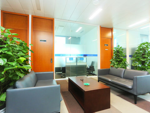 龍崗區(qū)事務(wù)所律師談國(guó)有獨(dú)資企業(yè)對(duì)外擔(dān)保應(yīng)由誰決定